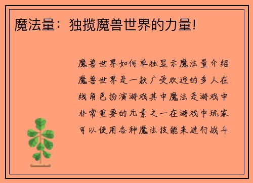 魔法量：独揽魔兽世界的力量!